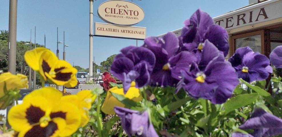 Gîte pour 2 personnes, avec jardin à Sirmione - 2