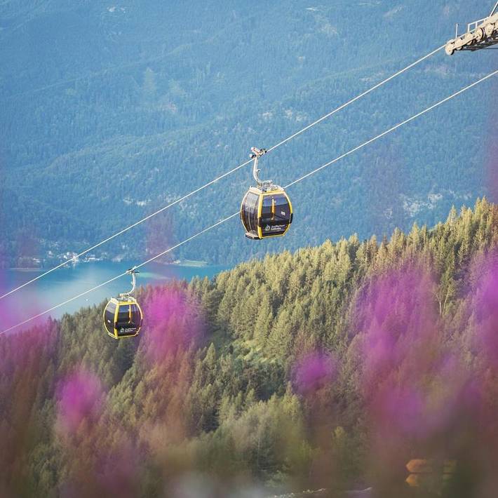 Ferienwohnung für 2 Personen, mit Terrasse und Ausblick in St. Gilgen - 4