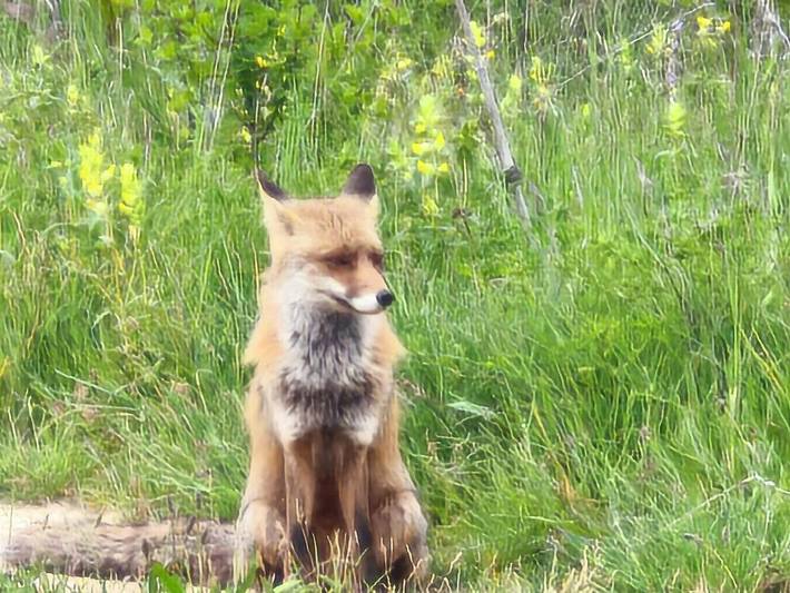 Casa rural para 10 personas, con vistas y jardín, Se admiten mascotas en Villadiego
