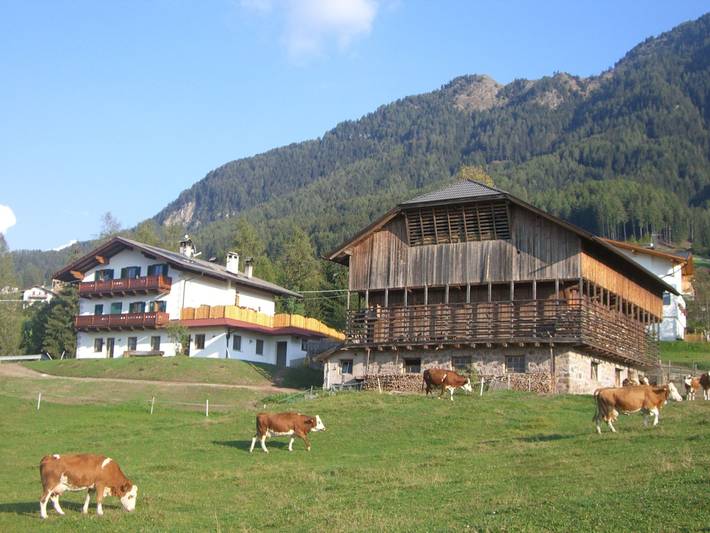 Hütte für 4 Personen, mit Garten auf der Seiser Alm