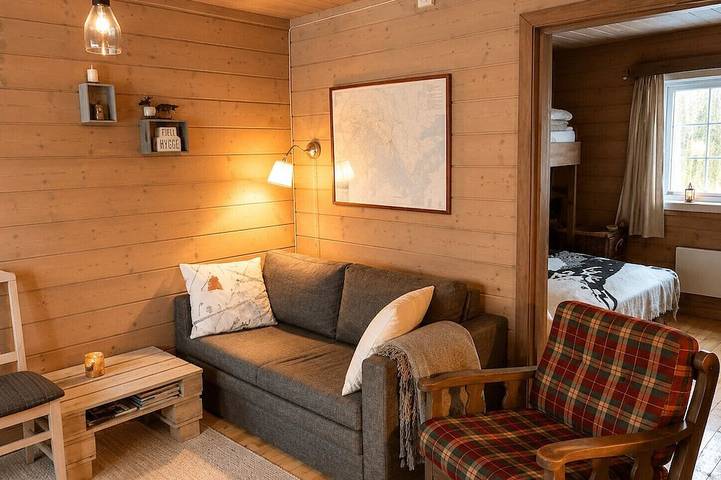 Charming mountain cabin in  beautiful Ustaoset centre in Hol