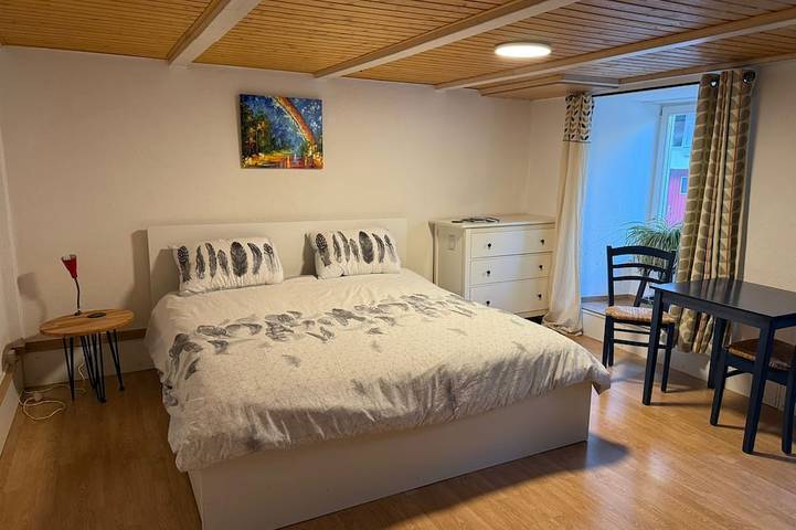 Apartamento entero, Characteristic 18th-century apartment, hiking groups, families in Waldenburg (Austria), Region Basel RDK