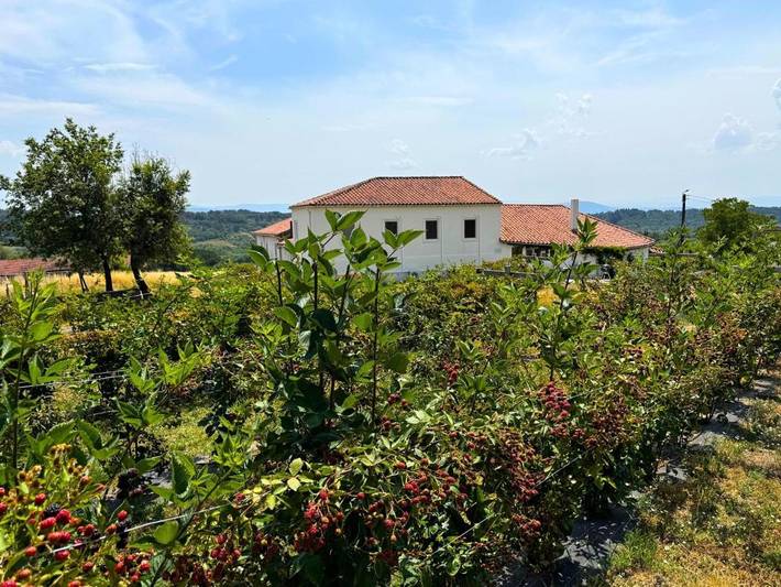 Casa rural para 6 personas, con jardín y vistas en Monforte de Lemos