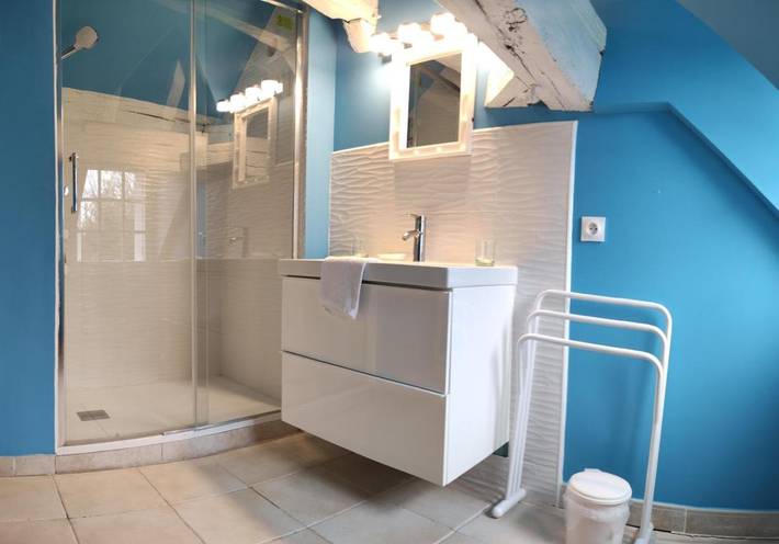 Location de vacances pour 4 personnes, avec vue et piscine ainsi que jardin et terrasse, animaux acceptés à Reugny - 2