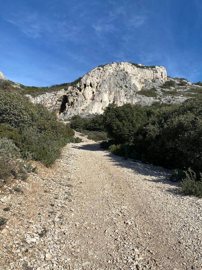 Location de vacances pour 10 personnes, avec terrasse ainsi que piscine et jardin, animaux acceptés à La Fare-les-Oliviers - 4