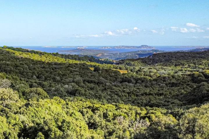 Location de vacances pour 2 personnes, avec vue et jardin à Tempio Pausania - 2