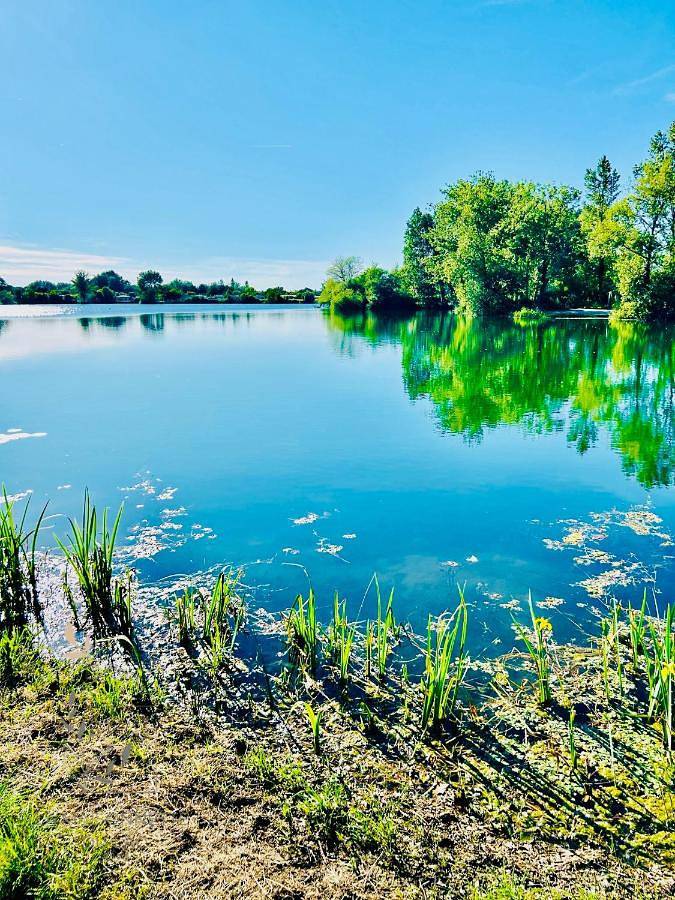 Appartement entier, Maison 40m2 climatisée et son Jardin Proche Bordeaux in Izon, Région de Libourne