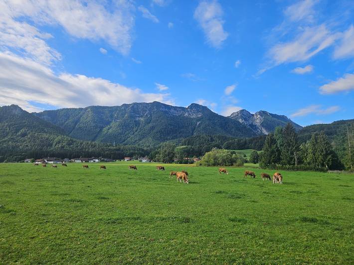 Apartamento vacacional entero, Zirbenplatzerl - Chiemgau Karte - Ferienwohnung in Inzell, Alpes Bávaros