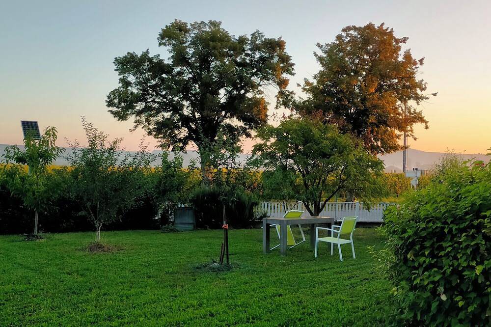 Appartement entier, 2 room wine route in Blienschwiller, Région de Sélestat-Erstein