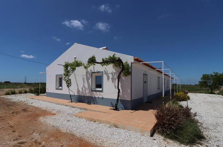 Gîte pour 3 personnes, avec vue et jardin, animaux acceptés à Moura - 3