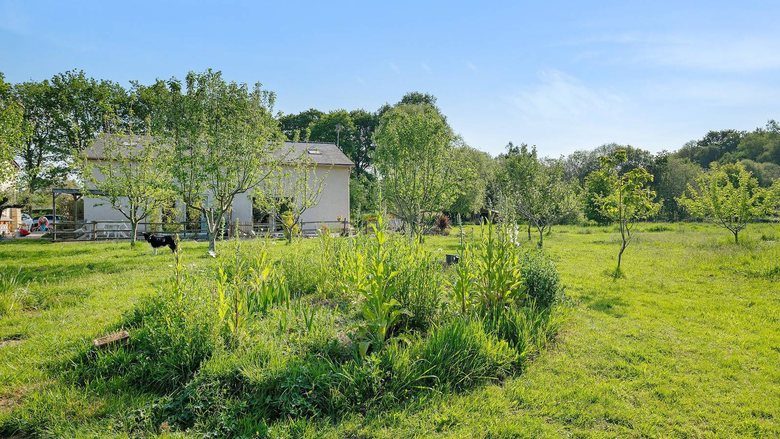 Gîte de l'hivet - "L'Hortensia" avec terrasse privée in Merdrignac, Région de Dinan