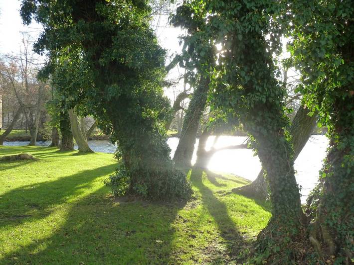 Bungalow für 2 Personen, mit Garten und Terrasse in Deutschland - 2