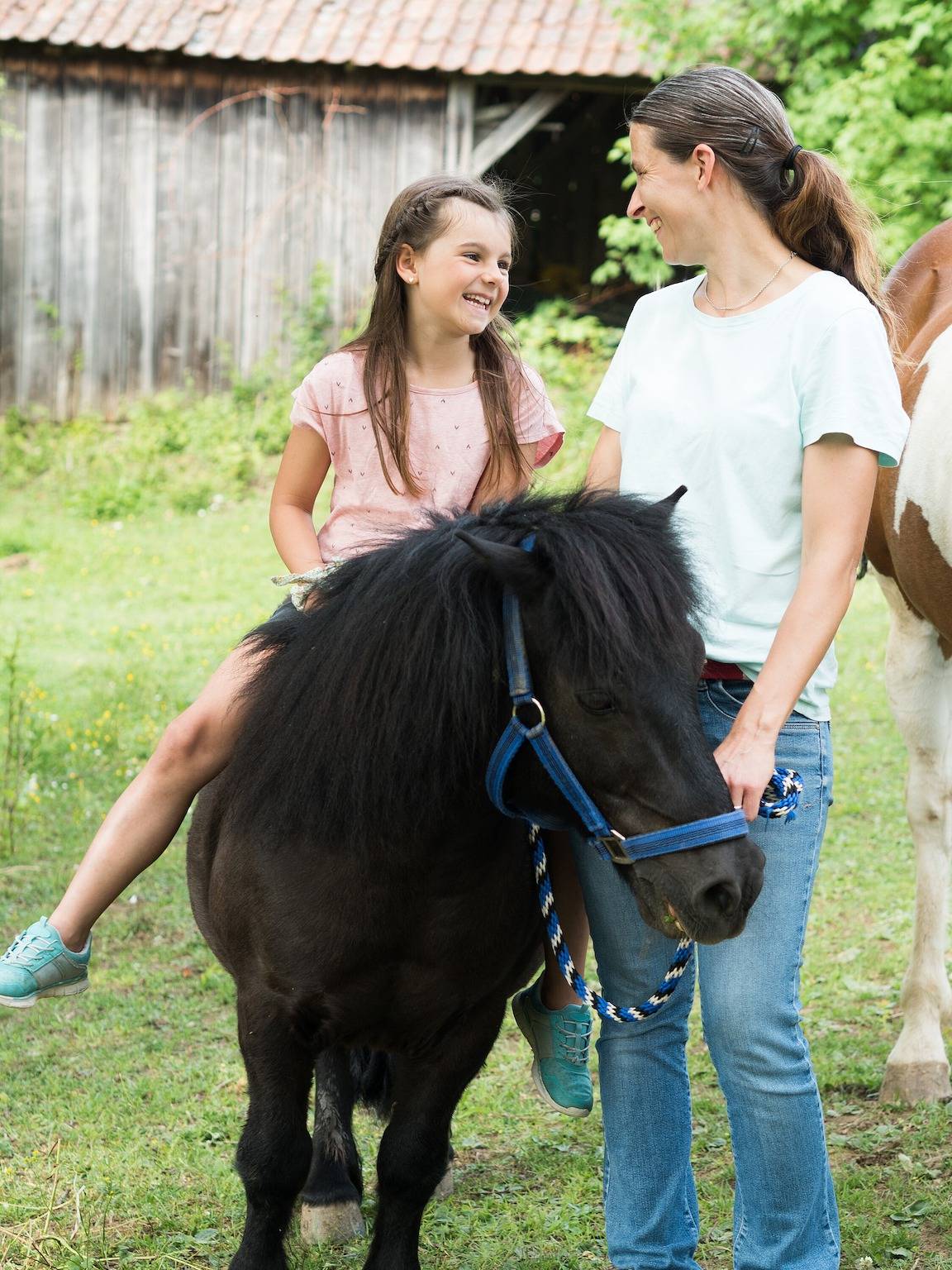 Ganze Wohnung, Ferienbauernhof Henn "Schmiedsbuck" mit Pool, Tieren und Spielplatz in Weikersheim, Taubertal