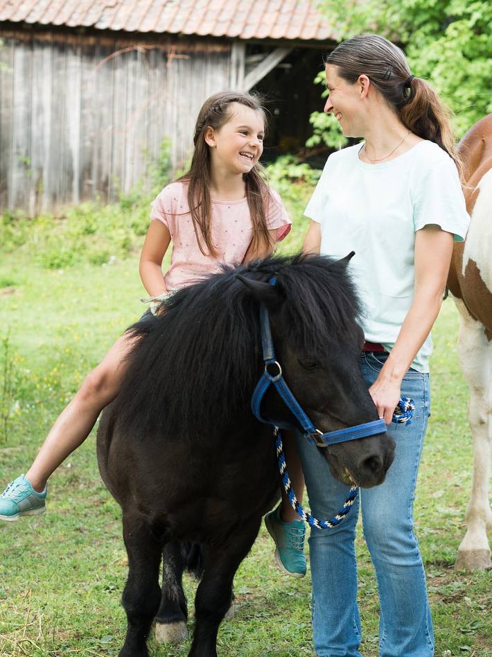 Ferienwohnung für 4 Personen, mit Garten und Sauna im Taubertal - 2