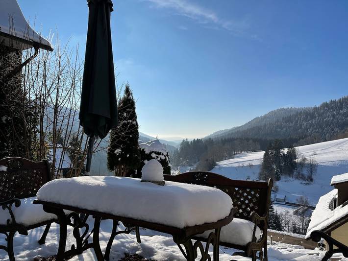 Ferienhaus für 4 Personen, mit Balkon und Garten sowie Sauna, kinderfreundlich im Schwarzwald