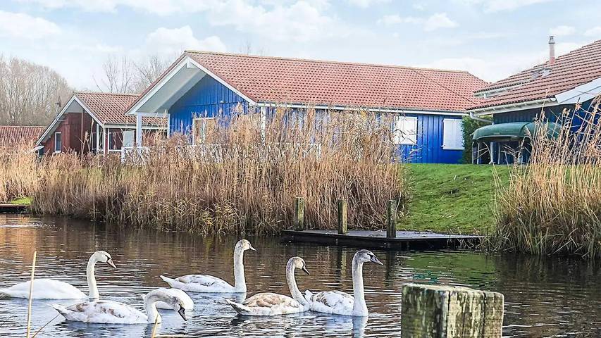 Ferienhaus für 11 Personen, mit Pool und Sauna sowie Whirlpool, mit Haustier in Otterndorf