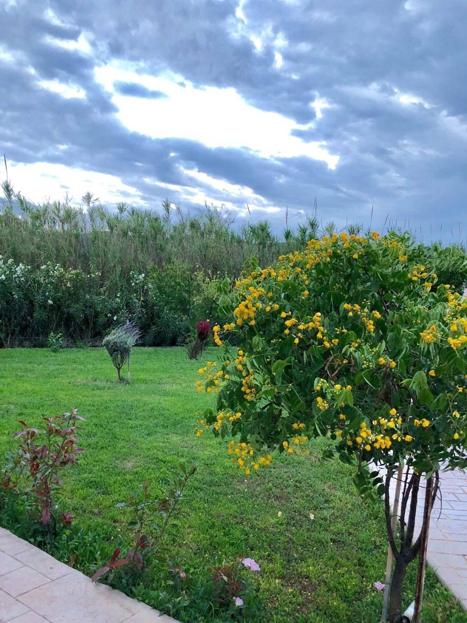 Aligis Studios in Μαρκόπουλο (Κεφαλονιά), Κεφαλονιά