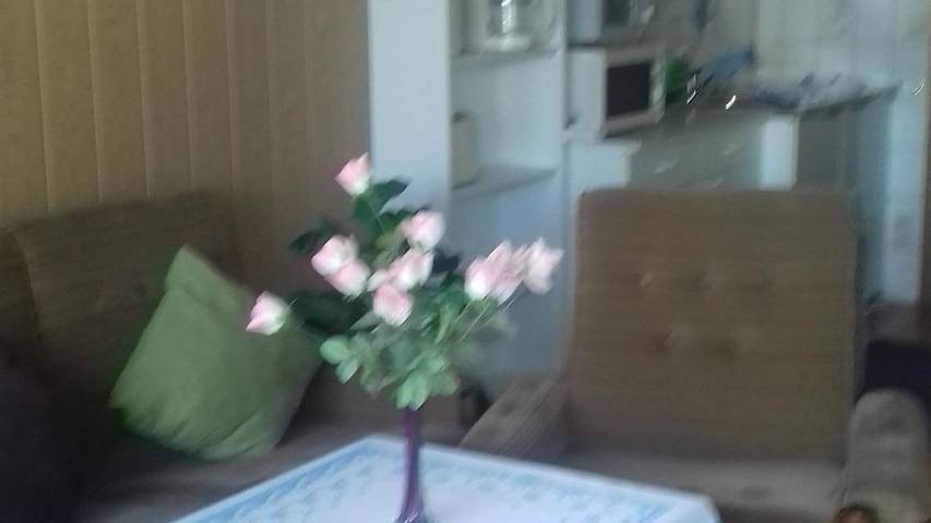 Ferienhaus für 5 Personen, mit Garten in Altenberg - 4