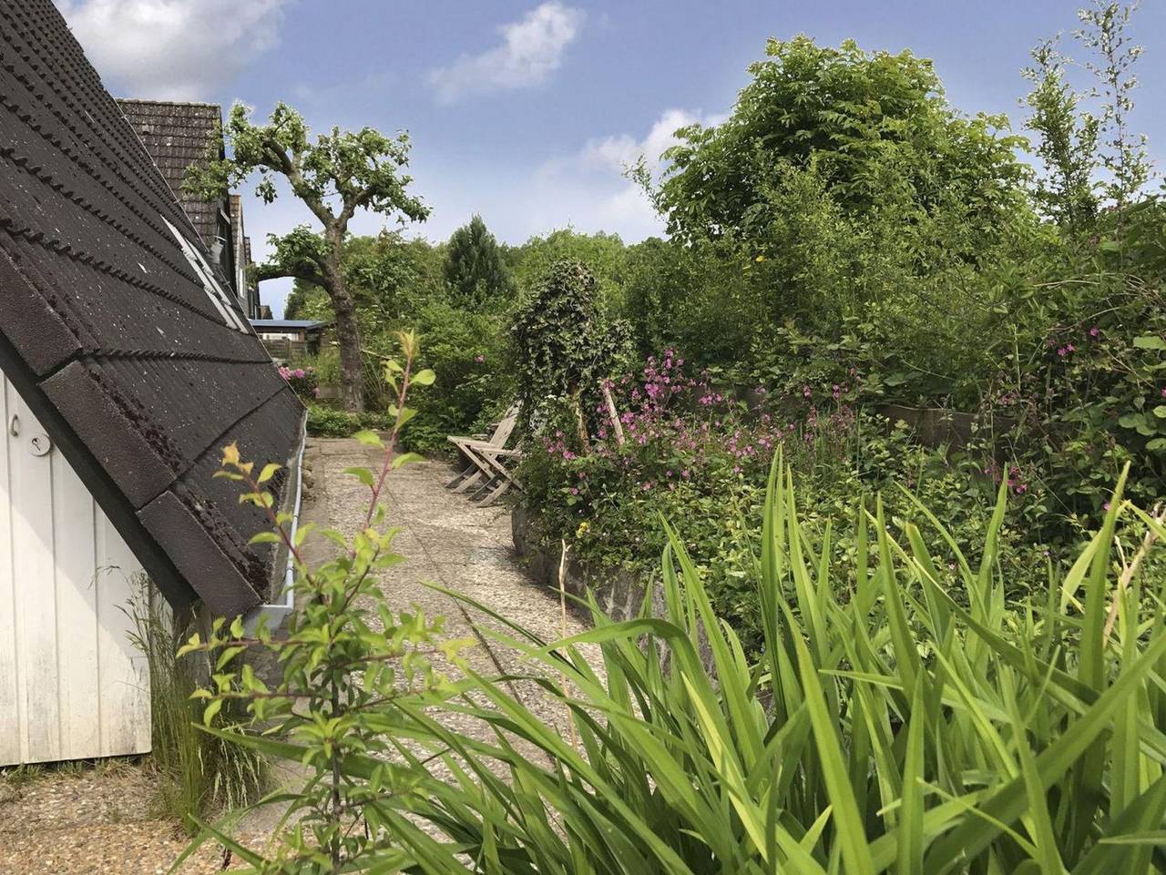 Luft Pur Ort - Ferienhaus "Luft Pur Ort" in Kappeln in Rückeberg, Kappeln