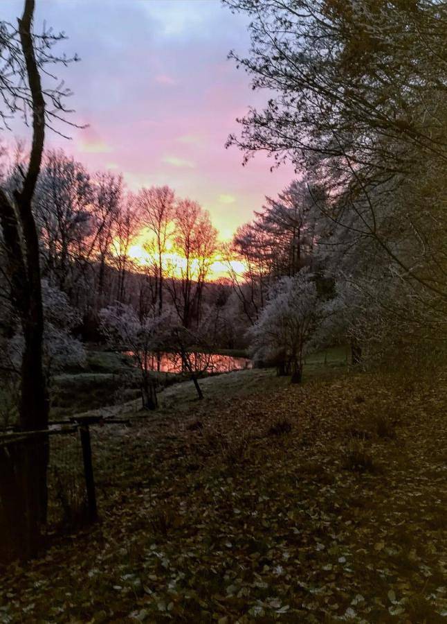 Location de vacances pour 2 personnes, avec jardin et vue, adapté aux familles dans Harre - 2