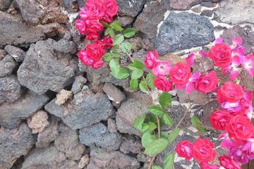 Agriturismo per 4 Persone in San Andrés (El Hierro), Valverde, Foto 3