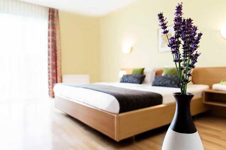 Landhaus Pannonia - Doppelzimmer mit Dusche, Wc  Online in Mörbisch am See, Leithaberg