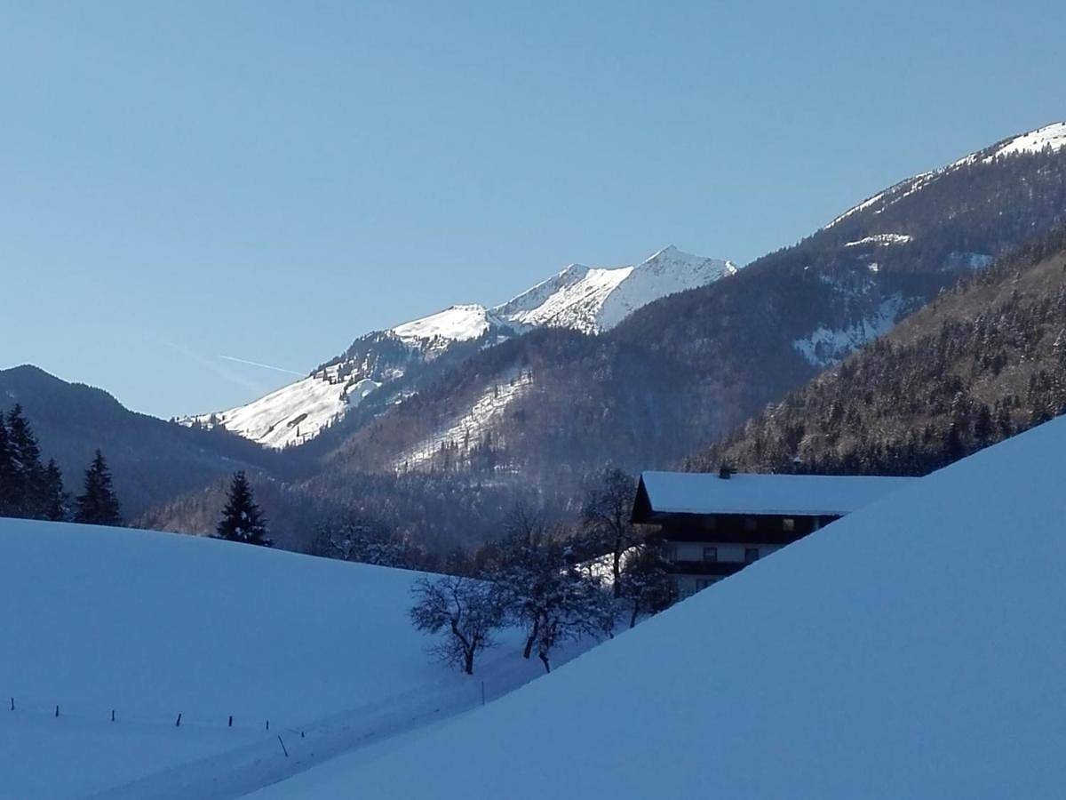 Ganze Wohnung, Bio-Bauernhof "Hecherhof" in Thiersee, Kaisergebirge