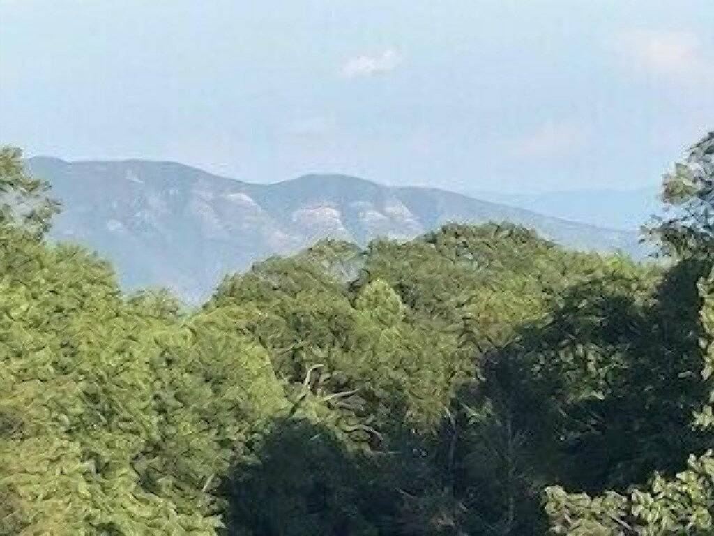 Ganze Wohnung, Ganze Gästesuite im Haus Edelweiss am Blue Ridge Parkway in Blue Ridge Parkway, Little Switzerland
