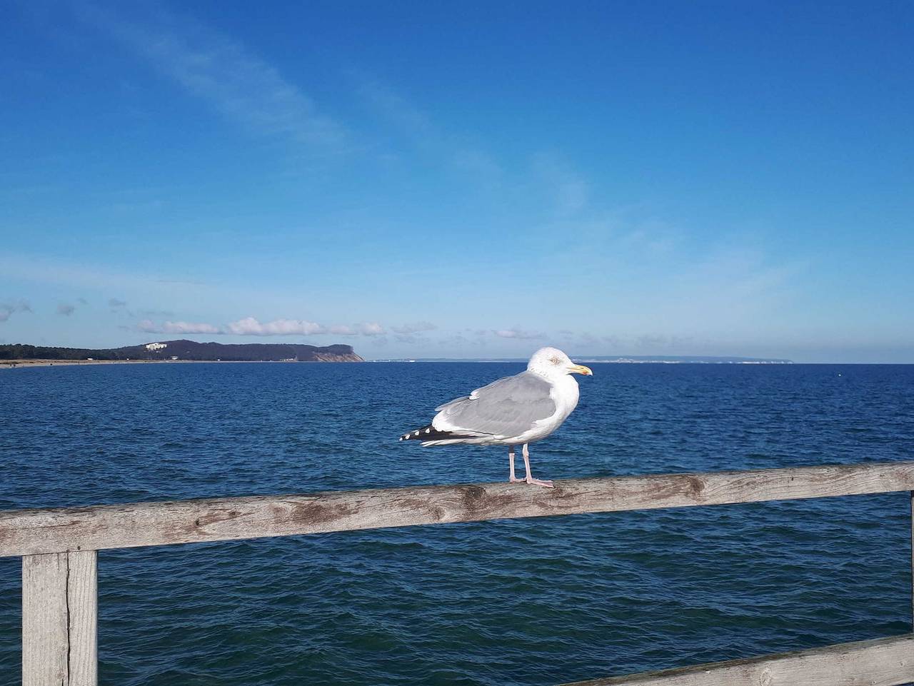 Ganze Ferienwohnung, Villa Strandmuschel Ferienwohnung Sabrina - Ferienwohnung Sabrina in Göhren, Rügen
