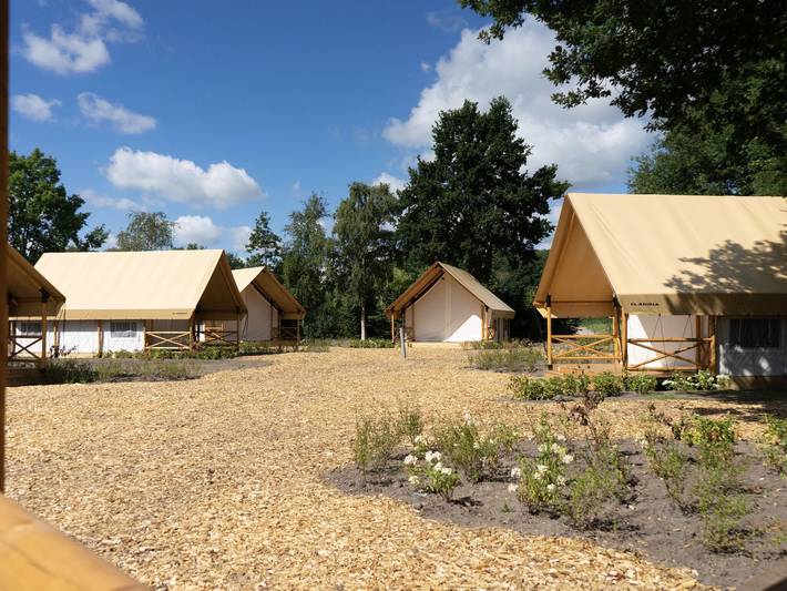 Bungalow voor 6 personen, met terras en zwembad, met huisdier in Kaatsheuvel