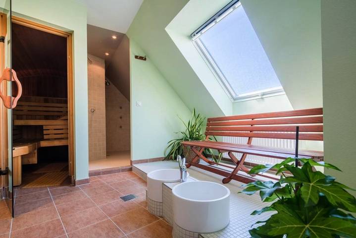 Hotel für 10 Personen, mit Sauna und Terrasse in Plauen - 3