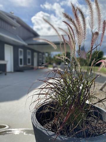 Lodge for 8 Guests in Kansas, USA, Picture 4