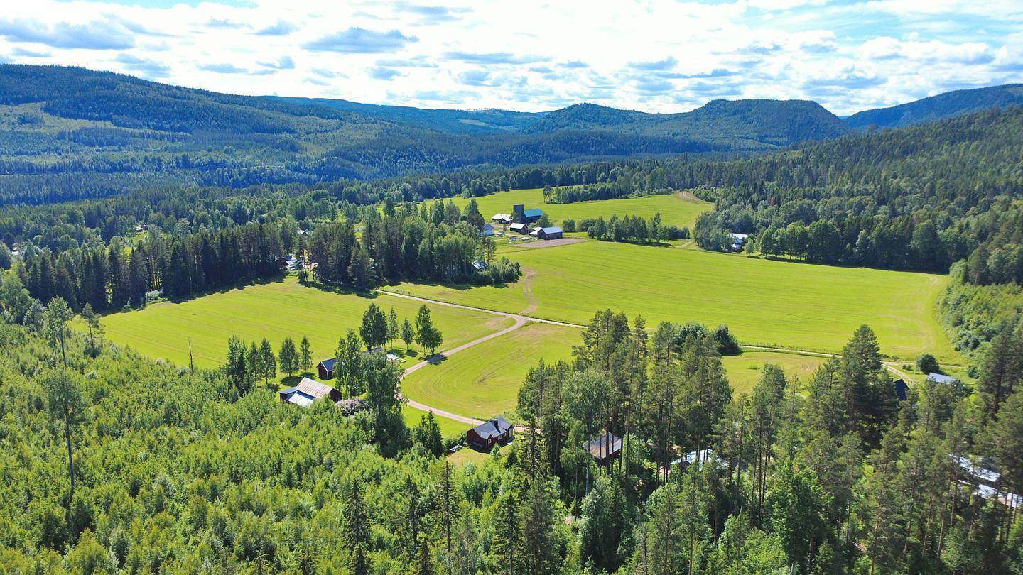 Rustikales Ferienhaus Hus Hammerstand in Jämtland – Naturnah und einfach in Jämtland