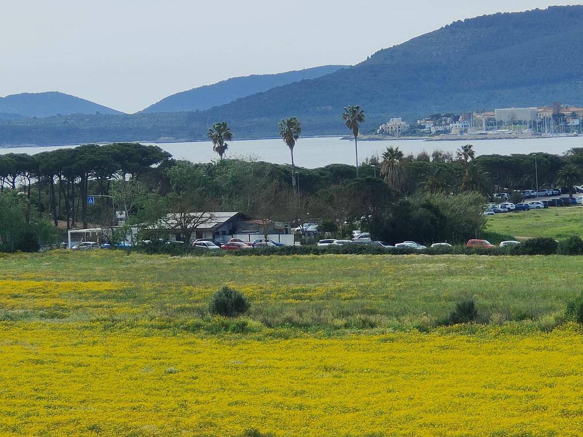 Ganze Wohnung, Two-Bedroom Apartment in Fertilia, Alghero