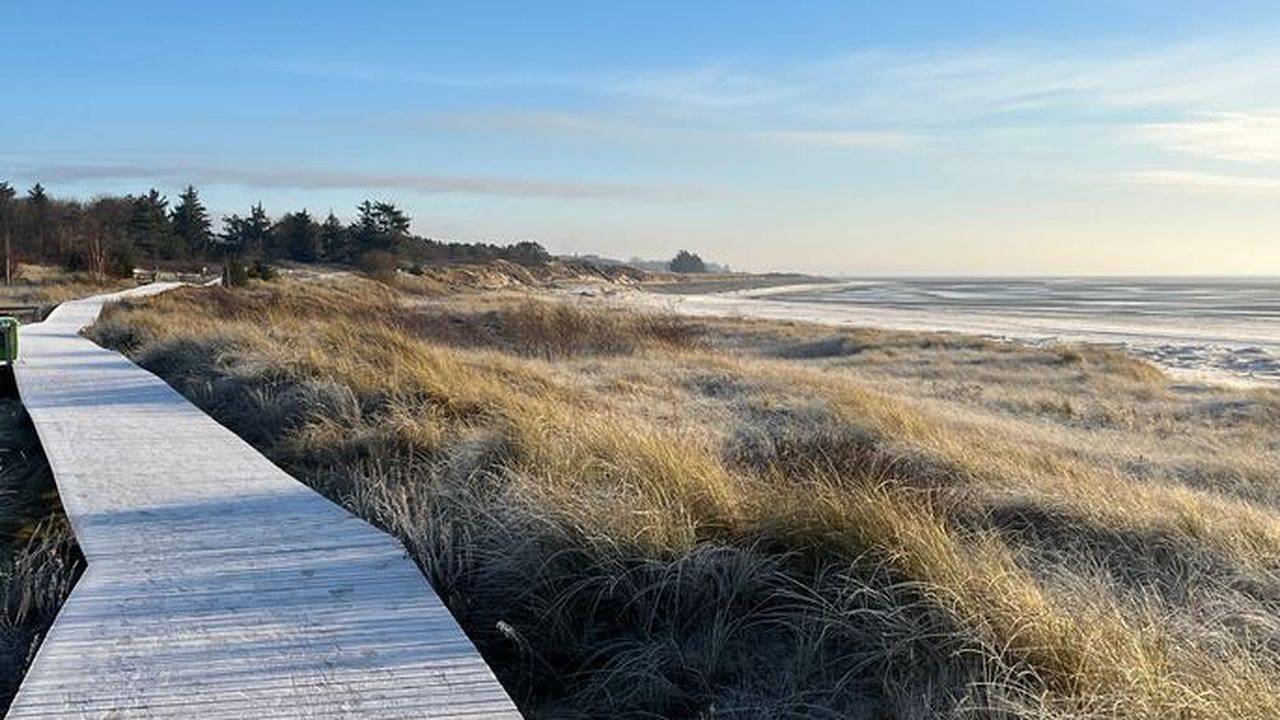 Ferienhaus für 3 Personen (105 m²) in Nieblum in Nieblum, Föhr