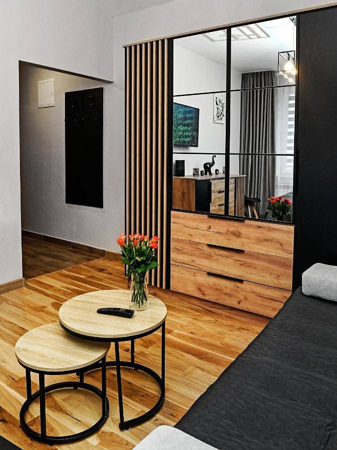 Cały apartament, One-Bedroom Apartment in Sanok, Karpaty (Polska)