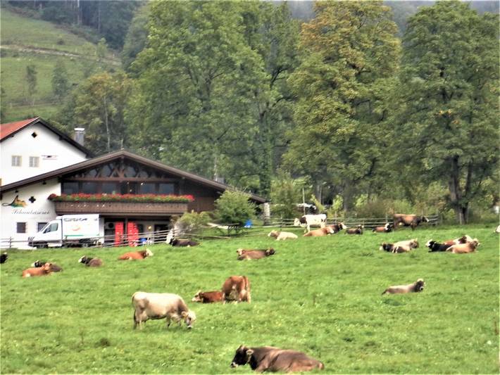 Ferienwohnung für 2 Personen, mit Balkon in den Ammergauer Alpen - 4