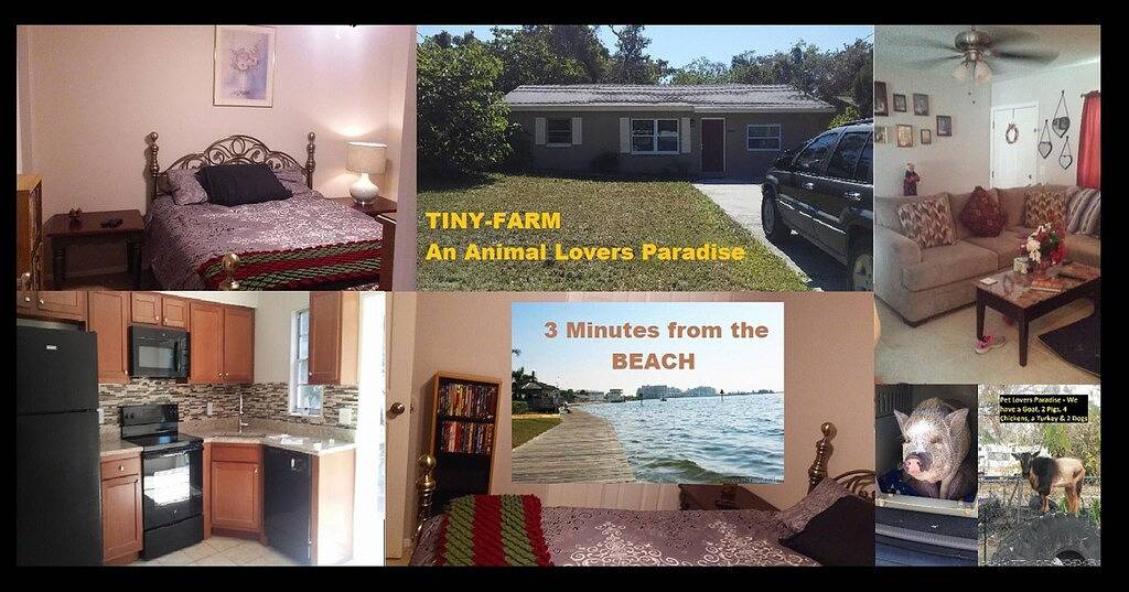 Tiny-Farm B & B (Ein Paradies für Tierliebhaber) Hudson, Fl in Pasco County