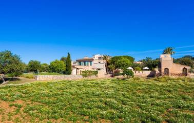 Ferienhaus in Felanitx, Mallorca Süden für 10 