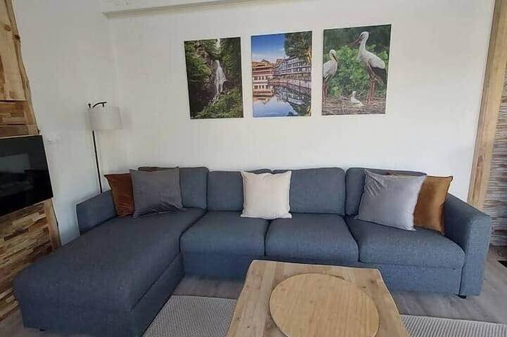 Location de vacances pour 8 personnes, avec jardin dans Gresswiller - 3