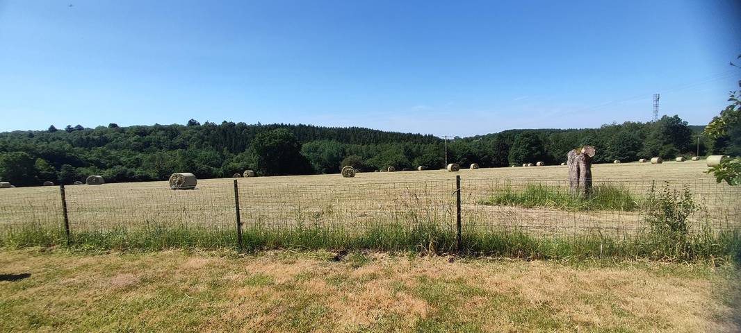Gîte für 9 Personen, mit Garten in Champagne-Ardennen - 3