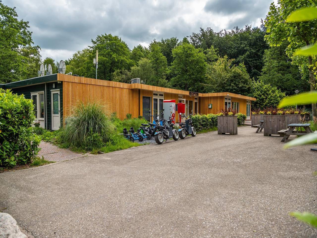 Schöne Zeltunterkunft in der Nähe von Amsterdam in Nordholland