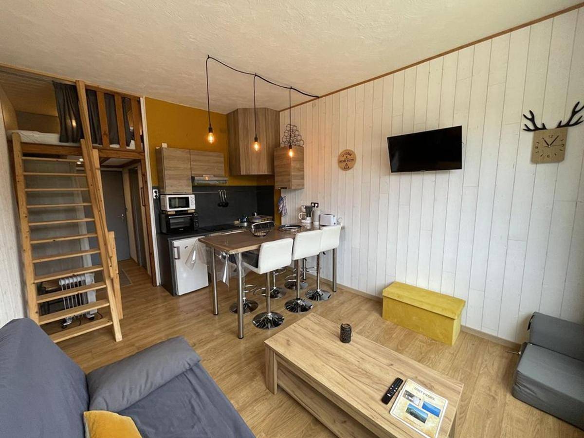 Appartement entier, Studio rénové au pied des pistes, idéal pour 4 pers, avec Wifi, animaux acceptés, casier à skis inclus - Fr-1-787-54 in Le Lioran, Laveissière