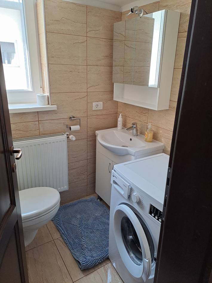 Gîte pour 3 personnes, avec jardin ainsi que balcon et vue à Leuna - 4