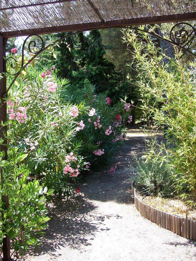 Location de vacances pour 6 personnes, avec vue ainsi que piscine et jardin à Carnas - 4