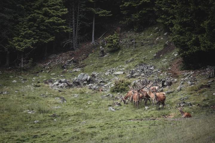 Gîte pour 4 personnes, avec jardin et vue à Chiusa - 3