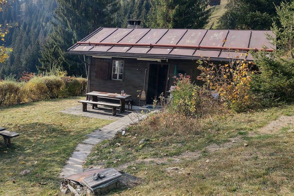 Ganze Wohnung, Maiensäss Camona, Siat, (Siat). in Siat, Alpenarena
