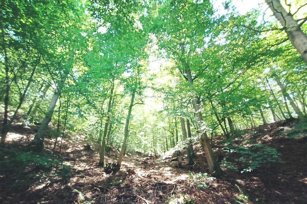 Ganze Wohnung, Tiny apartment in a quiet location near the North Eifel National Park in Heimbach, Naturpark Hohes Venn-Eifel