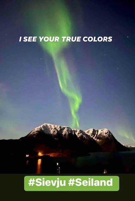 Ferienhaus für 6 Personen, mit Garten, mit Haustier in Finnmark - 2