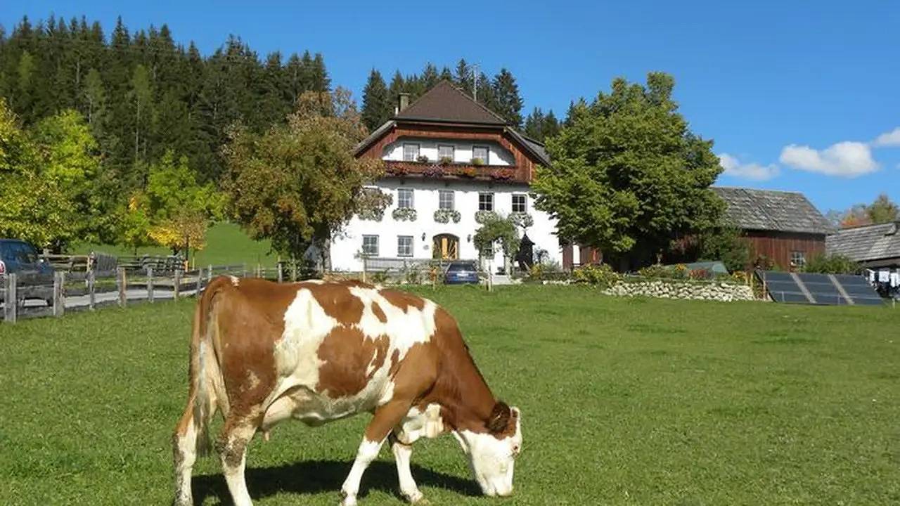 Ganze Ferienwohnung, Ferienwohnung für 8 Personen (80 m²) in Sankt Andrä im Lungau in Sankt Andrä im Lungau, Bundesland Salzburg